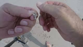 Beach Metal Detecting IDD 354 Memorial Day Jewelry Finds