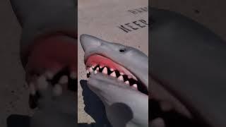 Shark Muppet Is At Hoover Dam!