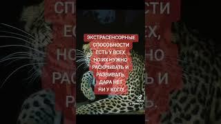 #магия #духовноеразвитие #магическаяпомощь #ритуал #ведьма #екстрасенс #езотерика #ясновидение #душа