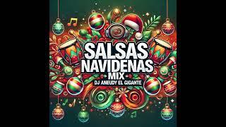 SALSAS NAVIDENAS MIX - DJ ANEUDY - 2024