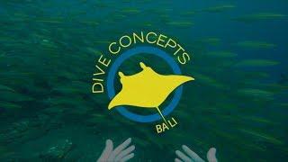 Dive Safari around Bali with Dive Concepts