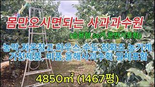 의성읍5분거리 몸만오시면되는사과밭#의성촌집#의성주택#의성땅#의성부동산#군위땅#영천땅#의성주말농장#의성임야#경북땅