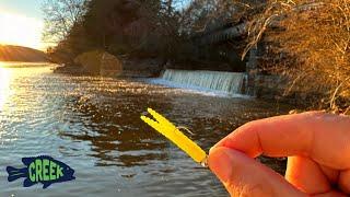 Cold Winter River Bank Fishing