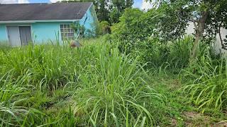 He Packed Up and LEFT Overnight to Take Care of His SICK Wife | OVERGROWN LAWN TRANSFORMATION