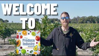 What is The Produce Industry Podcast?