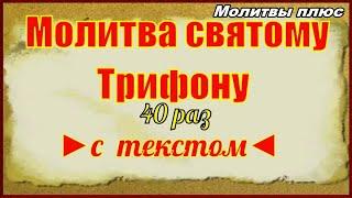 Молитва Святому мученику Трифону 40 раз