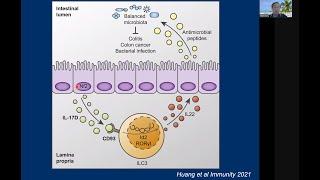 T cell regulation in immunity and diseases by Dr. Chen Dong