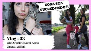 COSA STA SUCCCEDENDO?! + Una Giornata con Alice Vetturi || Vlog #53