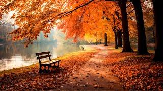 Stress Relief with Calming MusicBeautiful New England Fall Foligae, Cosy Autumn ~ Gentle Music