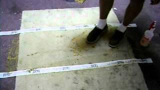 Carpet cleaning Host system 2 of 5