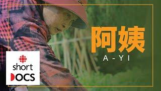 Nothing grew in their garden until a new auntie moved in | A-Yi (Chinese subtitles)