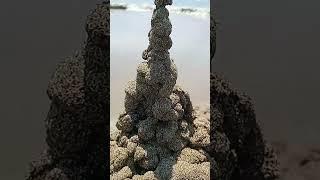 WEIRD..!?? TEMPLE ON THE BEACH