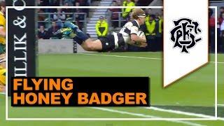 All Hail the Honey Badger! | HIGHLIGHTS