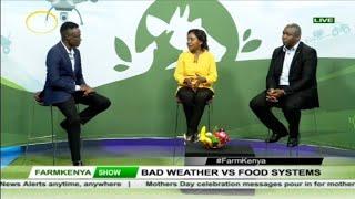 Bad Weather Vs Food Systems #FarmKenya