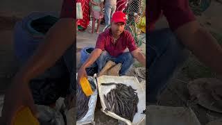LOCAL FISH MARKET IN NEPAL #shorts#fishmarketfull video link