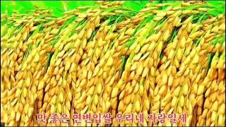 연변 입쌀 우리네 자랑일세/노래 : 이광복