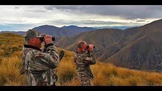 Red Stag & Tahr Bull Hunting New Zealand