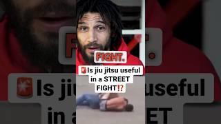 Is Jiu Jitsu useful in a STREET FIGHT!? #mma #jiujitsu #fight