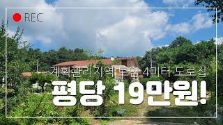 급처분~ 소액시골집터 계획관리지역  전원주택. 농가주택. 근생창고.전원카페 본 영상은 매매 물건이 아닌 저렴한 매물을 손님이 매입한 사례입니다.(광고제휴 소개영상)