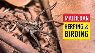 Matheran Herping and Birding Vlog (Macro and Bird Photography at Matheran Hills) | Sonika Agarwal