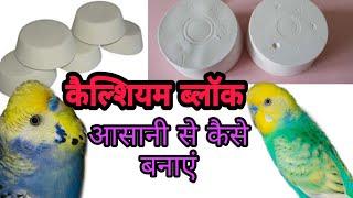 how to make calcium block for budgies//कैल्शियम ब्लॉक आसानी से बनाएं