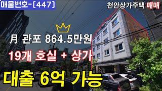 [447] 관포 864.5만원 나오는 대출 6억 나오는 상가주택 매매 !!   천안원룸건물매매,천안상가주택매매,천안다가구주택매매,천안아산건물매매,천안건물매매