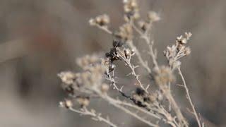 Dry conditions linger for San Diego region | NBC 7 San Diego