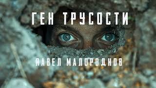 Ген трусости/МАЛОРОДНОВ/#хит