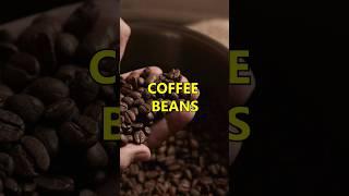 UNBELIEVABLE COFFEE Facts That Will Amaze You! #facts