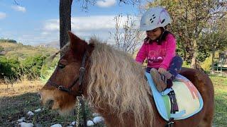 13 easy steps: how to ride a pony