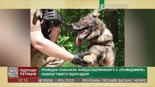 Розвідка показала найдосвідченішого з розвідників кінологічного підрозділу