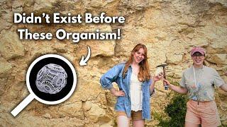 How Life ‘Invented’ A New Rock Type ~100 Million Years Ago! GEO GIRL