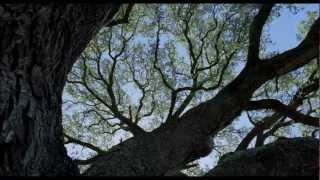 Funeral Canticle (From "The Tree of Life")