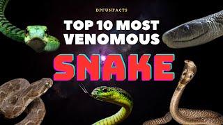 Top 10 Most Venomous Snake in The World | DPFunFacts