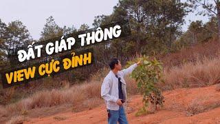 Bán Đất Ven Đà Lạt Trên Đồi Thông, View Thung Lũng Tuyệt Đẹp | Giá rẻ chỉ 1,43 chỉ cho 1538 m2.