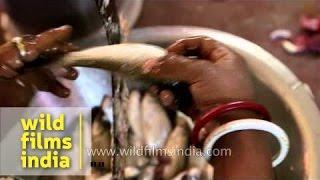 Cutting fish with a boti at a Bengali wedding, India