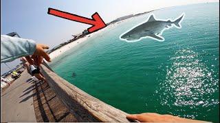 GIANT Shark Swims Towards Beach Tourists!! **MONSTER New PB**