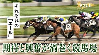 JRA70周年特番【YELL～馬とカケルミライ～】③期待と興奮が渦巻く競馬場