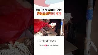 중독적인 충청도 화법 #shorts #충청도사투리