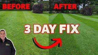 Two tricks to make your lawn greener this summer