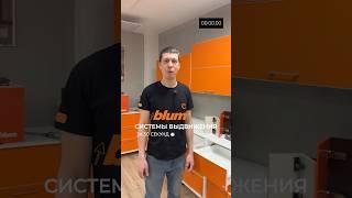 Системы выдвижения Blum