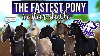 The Fastest PONY in Star Stable! (NOT the Jorvik Starter Pony!)