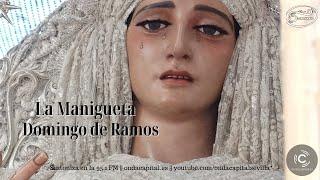 EN DIRECTO: Domingo de Ramos | Semana Santa de Sevilla 2023 | Onda Capital