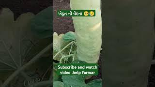 Farmar need to help #short #yt#faramr#need to help#youtube