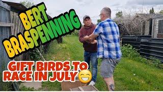 BERT BRASPENNING YOUNG BIRDS GIVEN TO US IN ADDITION TO OUR TEAM|PIGEON RACING UK|TOP BLOODLINES