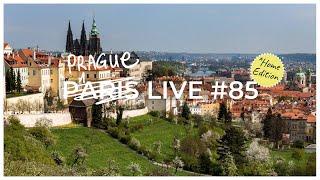 "A French Frye in...Prague!" - Paris Live #85 (Home Edition)