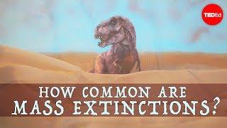 When will the next mass extinction occur? - Borths, D'Emic, and Pritchard