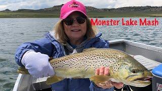 Giant Trout Eating Dry Flies! | Phil Rowley Fly Fishing.