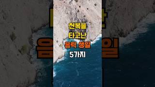 천복을 타고난 음력 생일 5가지 #좋은글 #지혜 #인생조언