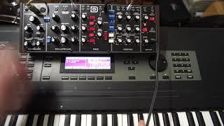 Behringer Model D Unusual Sound Patches